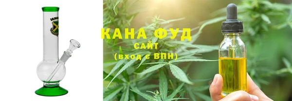 хмурый Няндома