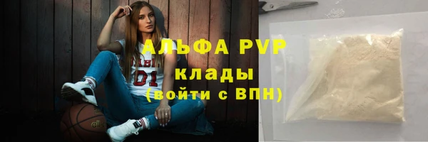 хмурый Няндома