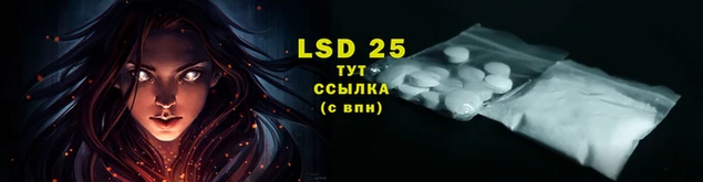 прущие грибы Нязепетровск