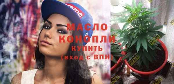 хмурый Няндома