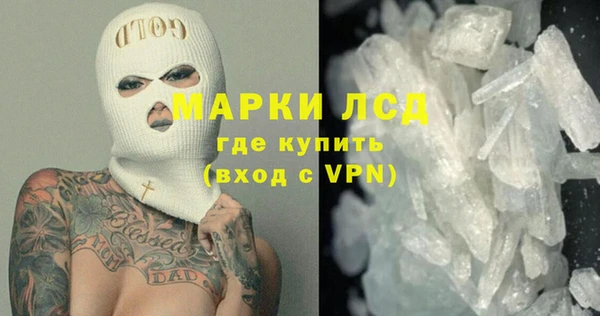 прущие грибы Нязепетровск