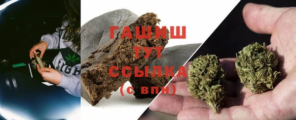прущие грибы Нязепетровск