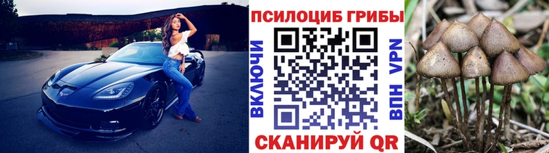 наркошоп Певек площадка наркотические препараты Псилоцибиновые грибы мухоморы